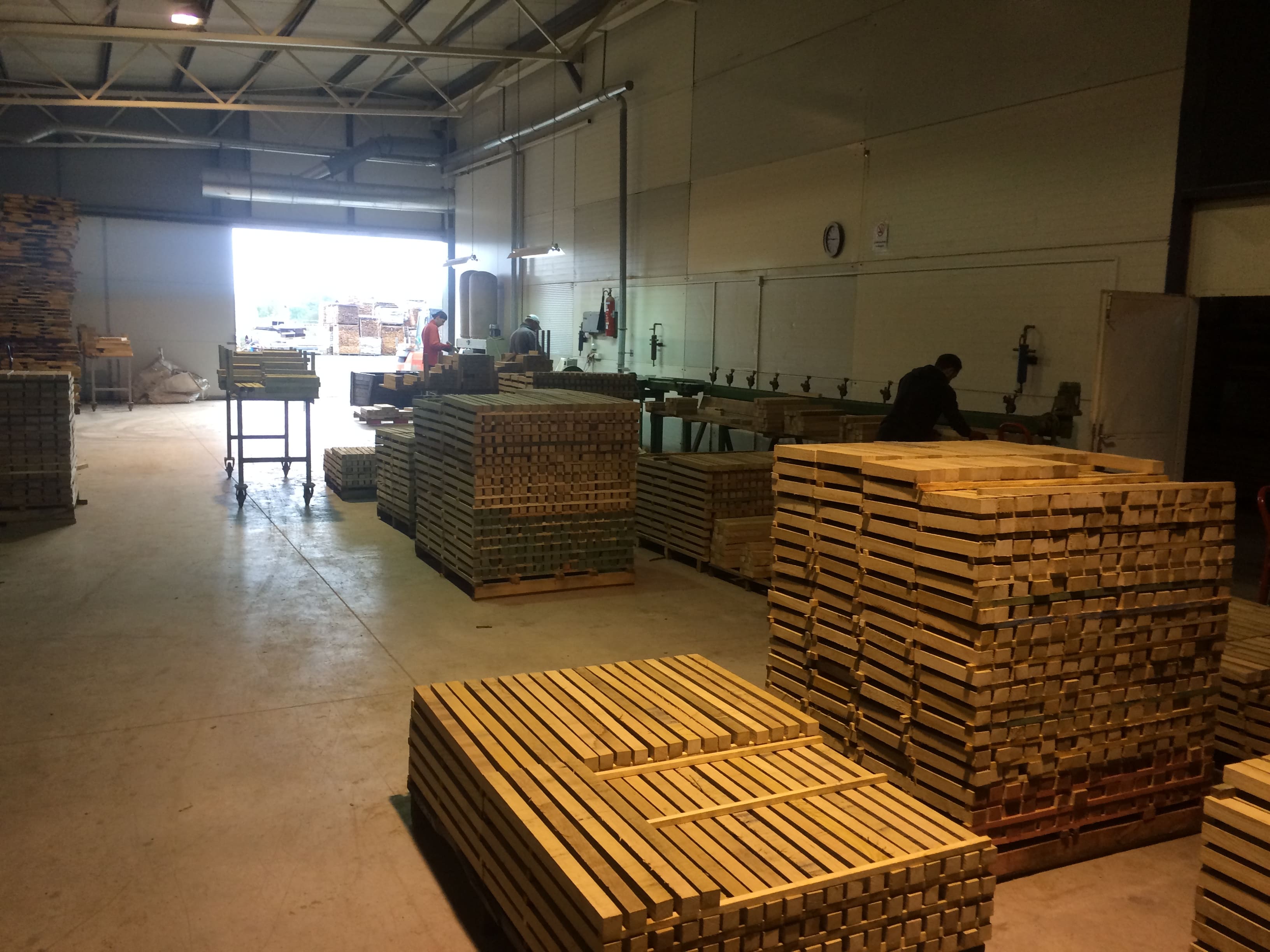 Emner i europæisk eg - CSS Hardwood